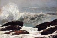 Homer, Winslow - Maine Coast